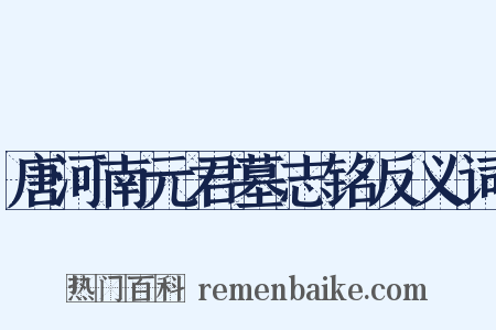 唐河南元君墓志铭反义词是什么意思的图片